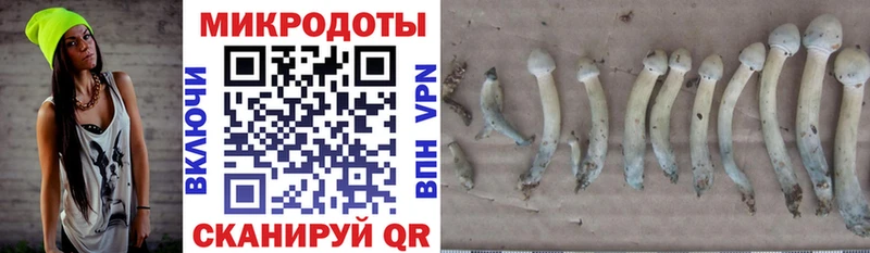 Галлюциногенные грибы ЛСД цены наркотик Оха